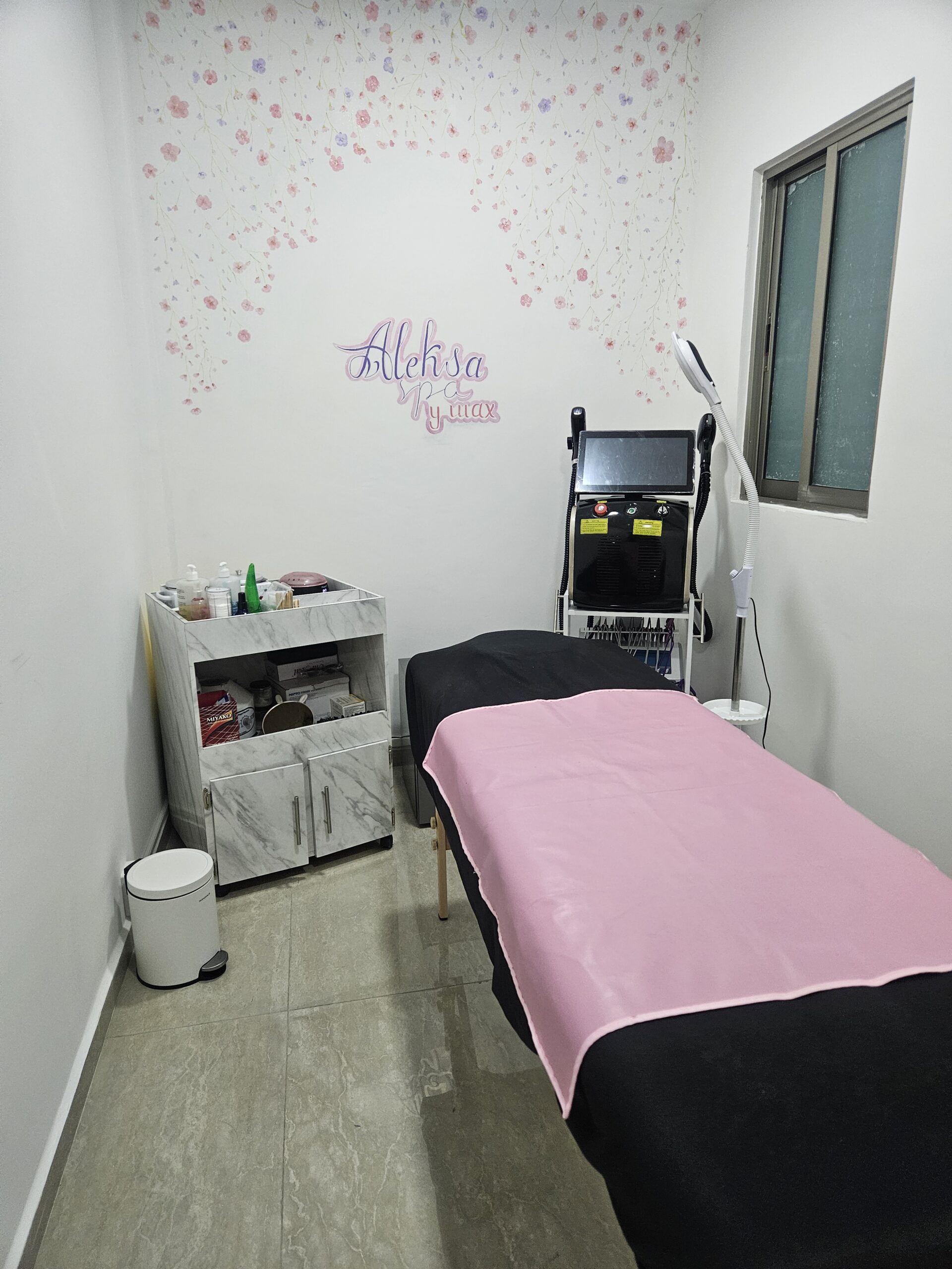 Experiencia Aleksa